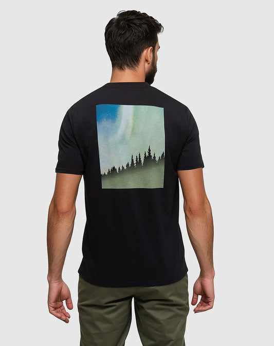 TENTREE NORTHERN AURORA TEE