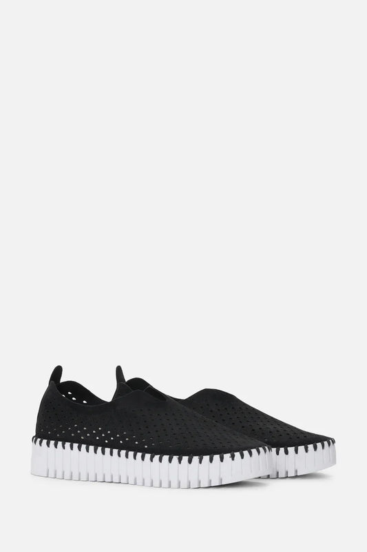 ILSE JACOB TULIP PLATFORM