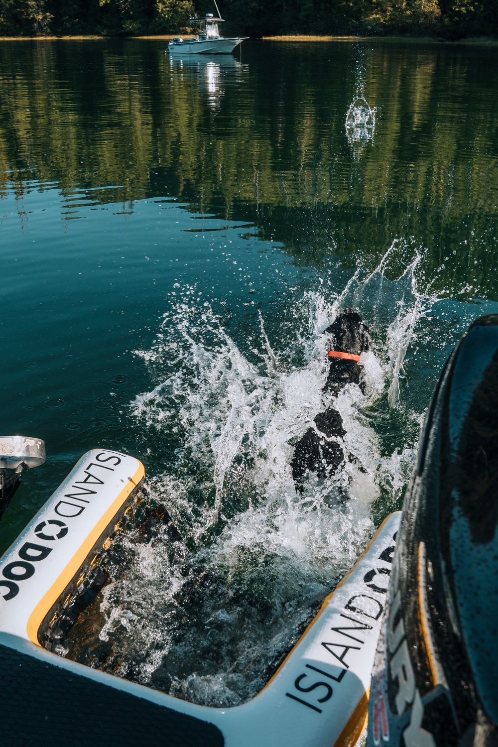 INFLATABLE ISLAND DOG RAMP